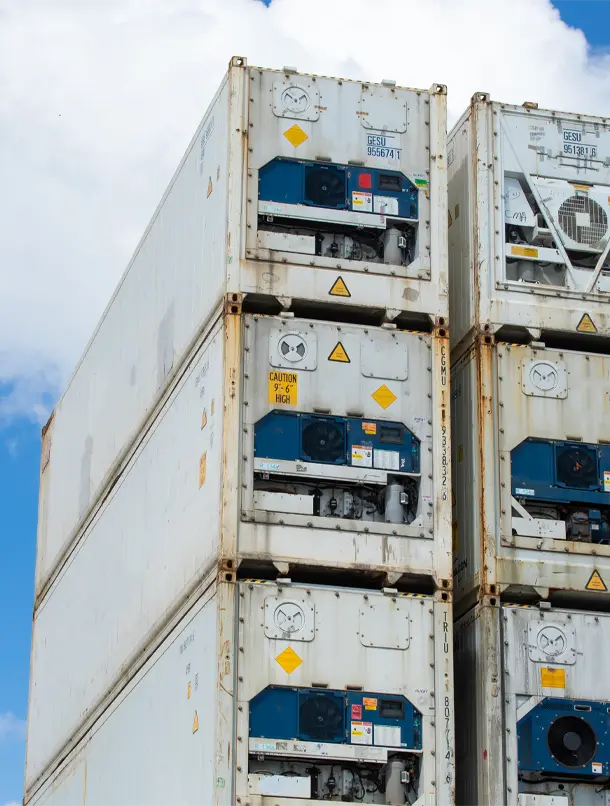 Carga refrigerada en contenedores reefer - importación desde USA